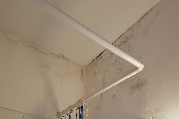 Manos Abdichtungstechnik, Schimmelbefall, Schimmelsanierung, Buxtehude